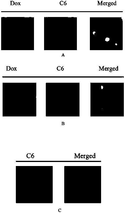 Composite micro-sphere co-carrying adriamycin nanoparticles and ginsenoside rh2 and preparation method thereof