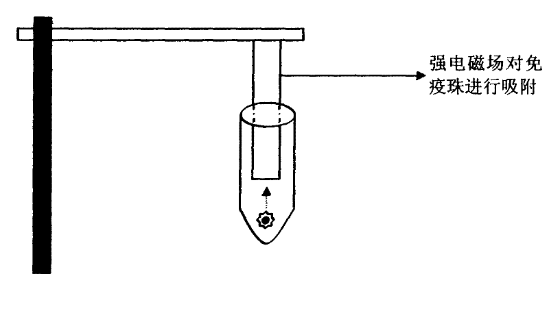 Novel in-vitro diagnosis experiment method and device for allergen