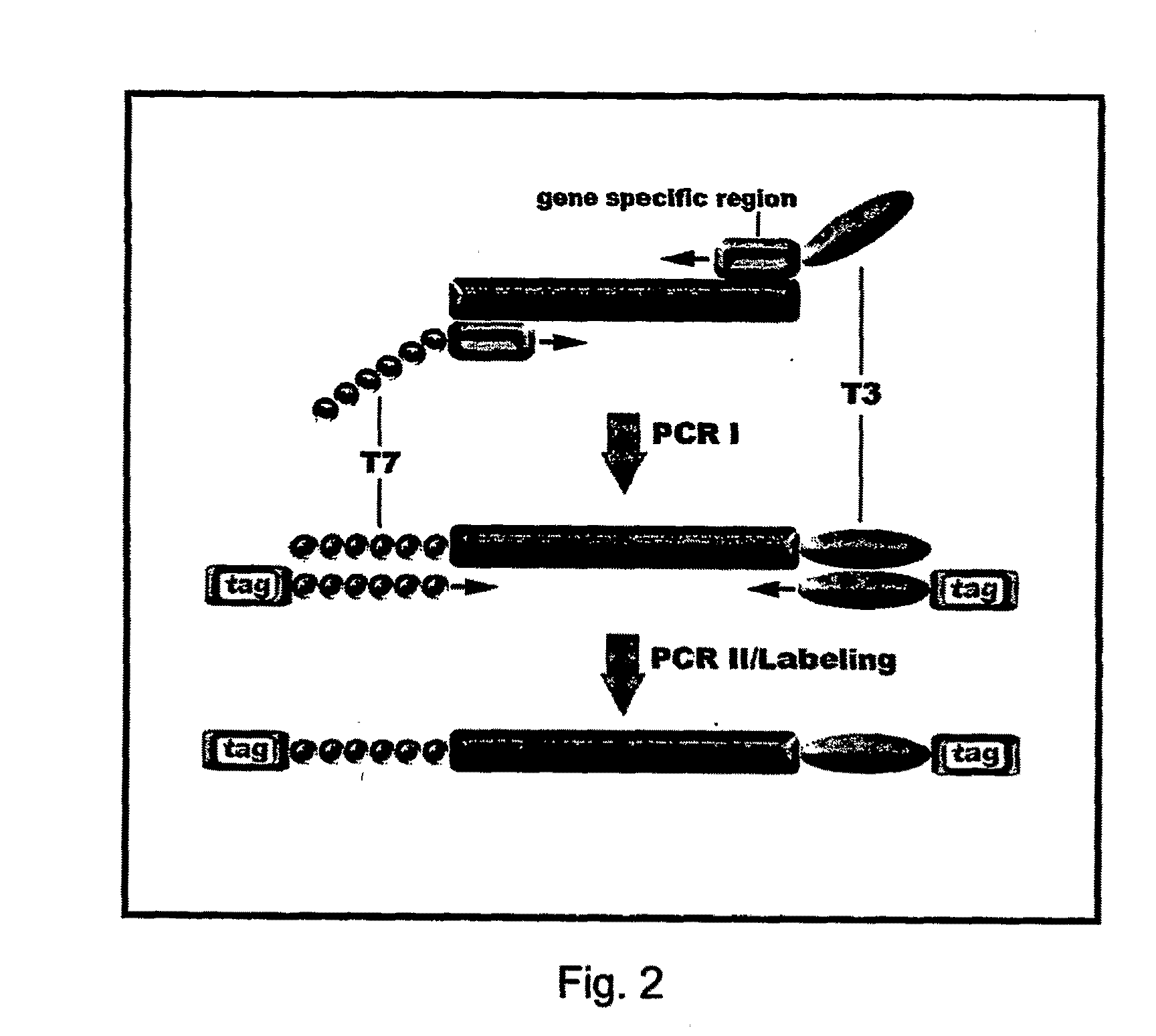 Methods for identifying multiple DNA alteration markers in a large background of wild-type DNA