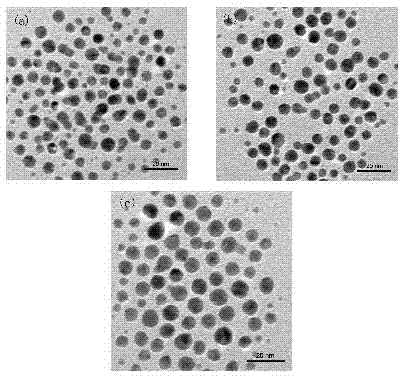 Preparation method for nanometer composite supermolecular hydrogel with photosensitivity
