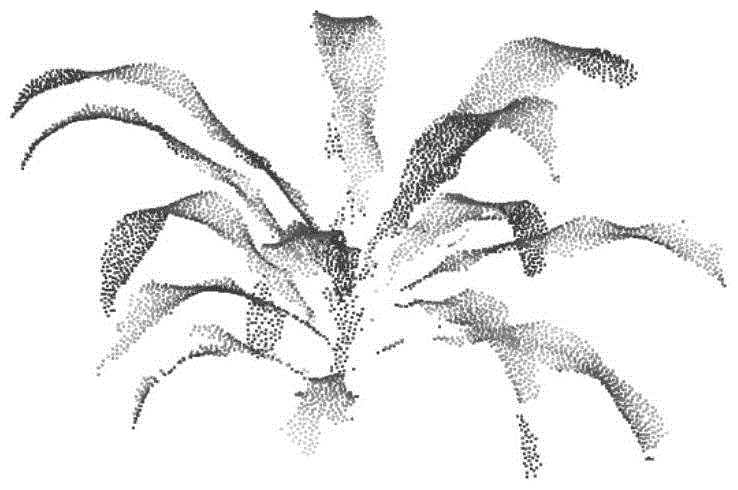 Modeling method of deformation movement of elastic object