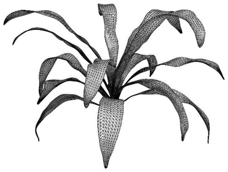 Modeling method of deformation movement of elastic object