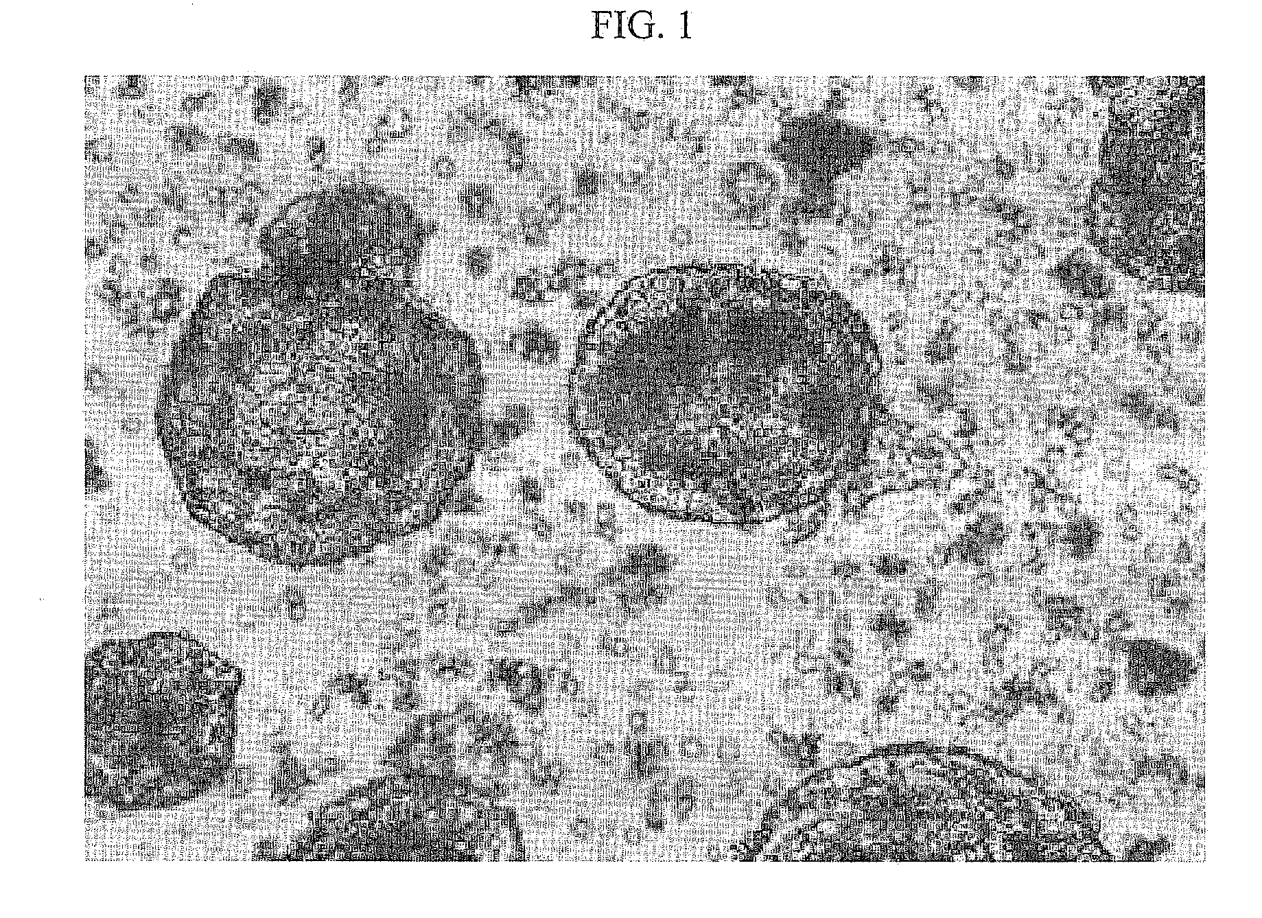 Scaffolds increased specific gravity for cell culture and method for manufacturing thereof