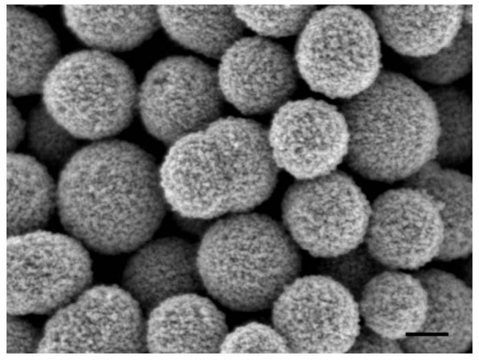 Applied at low temperature for low concentration no  <sub>2</sub> Oxygen vacancy modified metal oxide gas sensitive material for gas detection and preparation method thereof