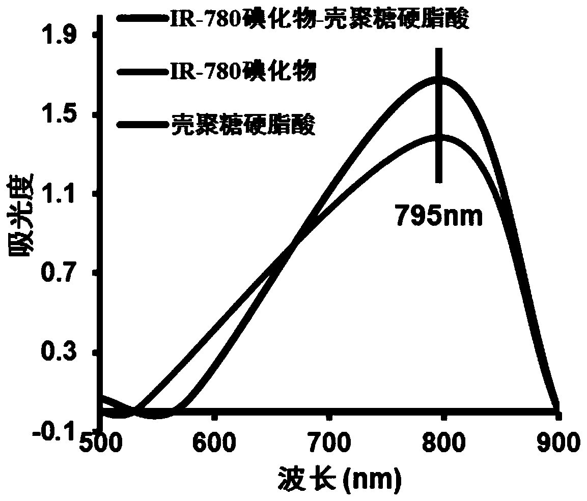 A kind of ir-780 iodide-chitosan stearic acid graft and its preparation and application