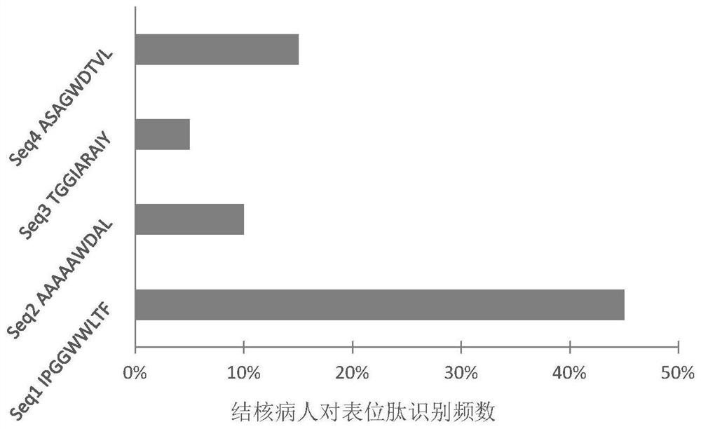 Mycobacterium tuberculosis antigen protein Rv1808 and application of epitope peptide thereof