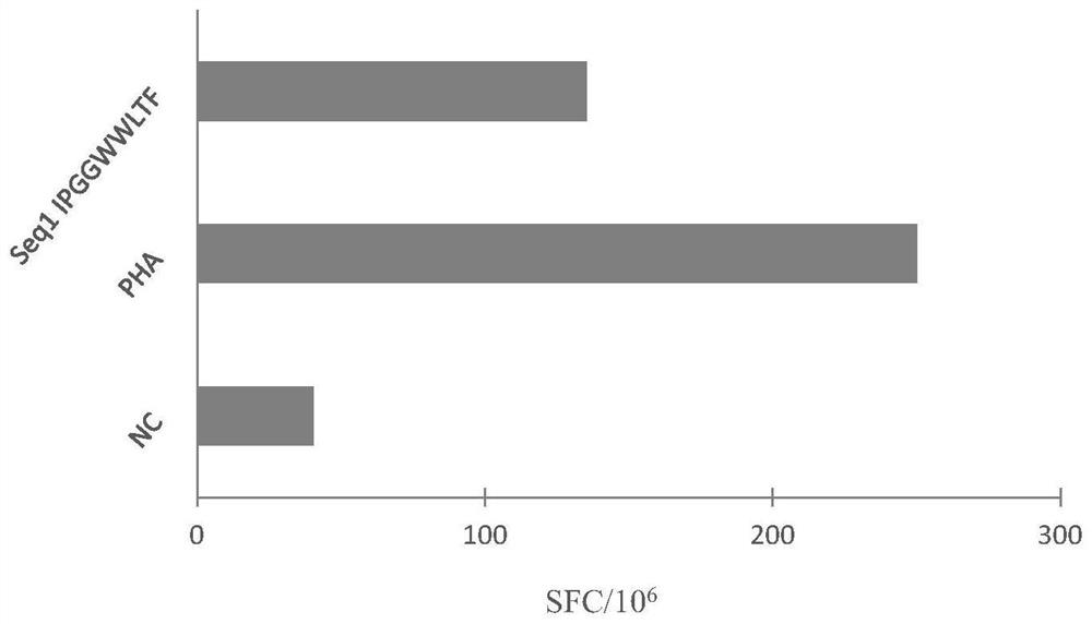 Mycobacterium tuberculosis antigen protein Rv1808 and application of epitope peptide thereof