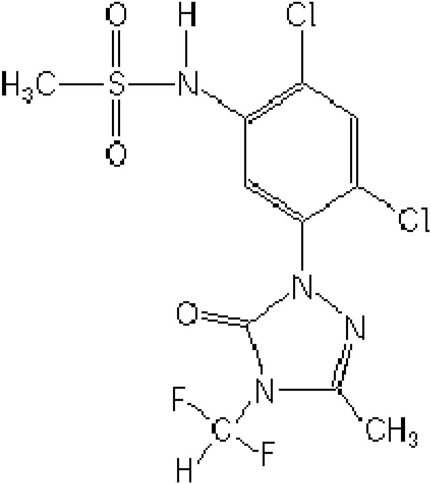 Preparation method and use of new sulfentrazone preparation