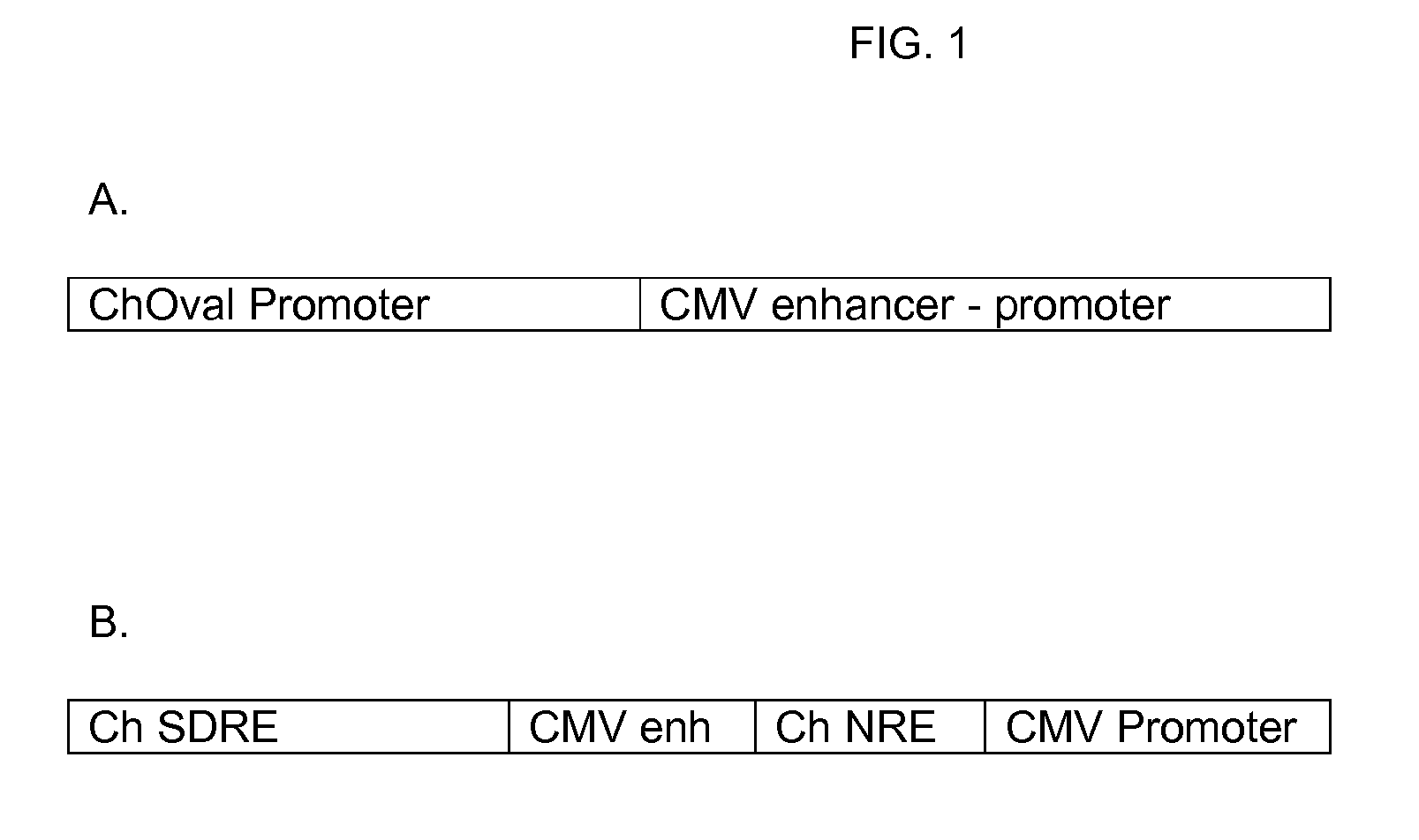 Novel Vectors for Production of Interferon