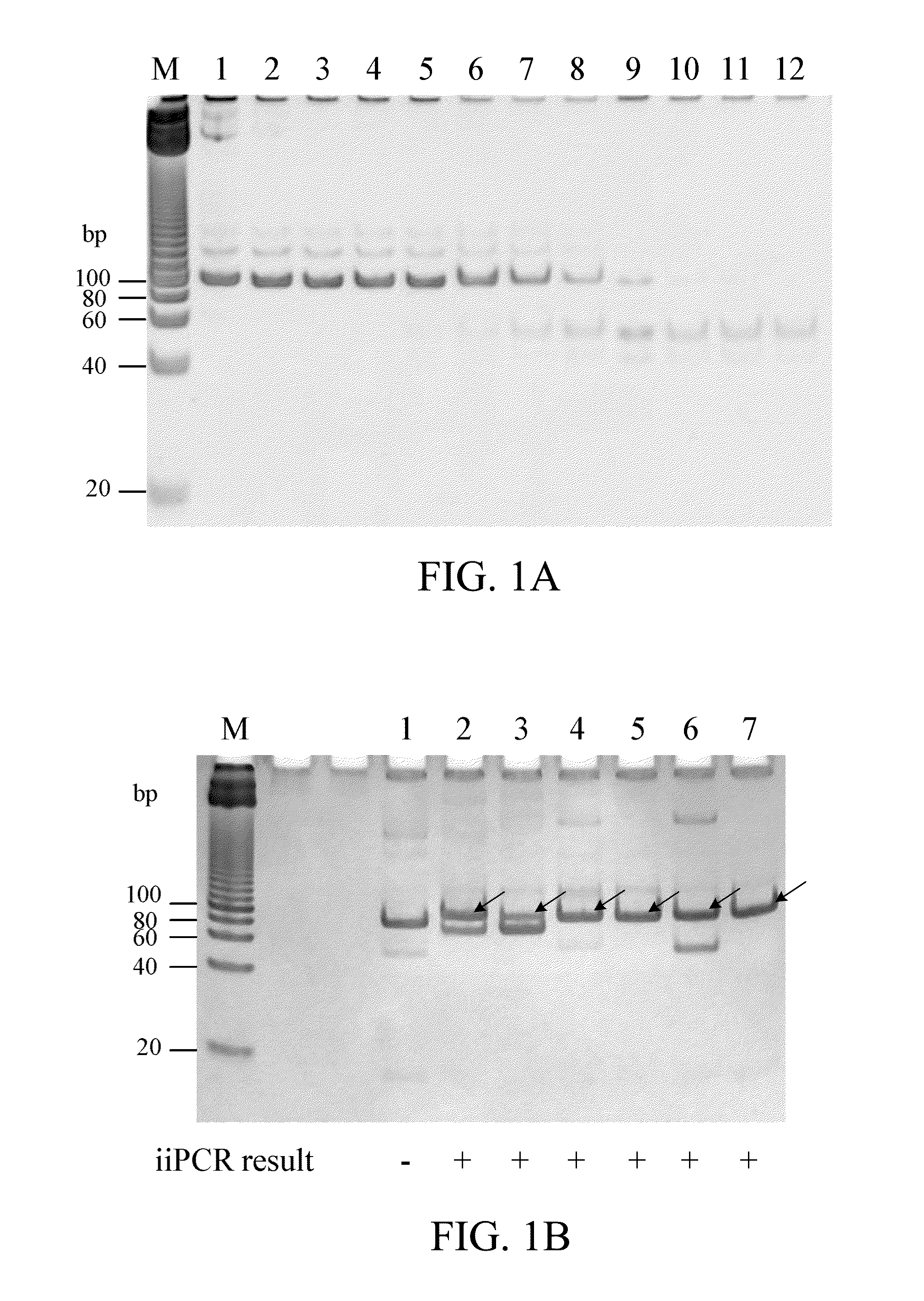 Methods for detecting pathogen in coldwater fish