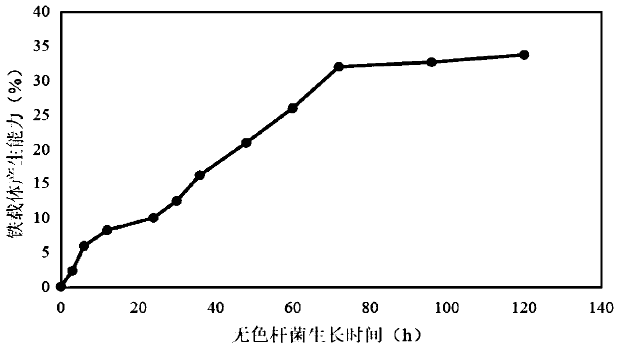 Achromobacter sp. and application thereof to improvement of iron nutrition of peanuts