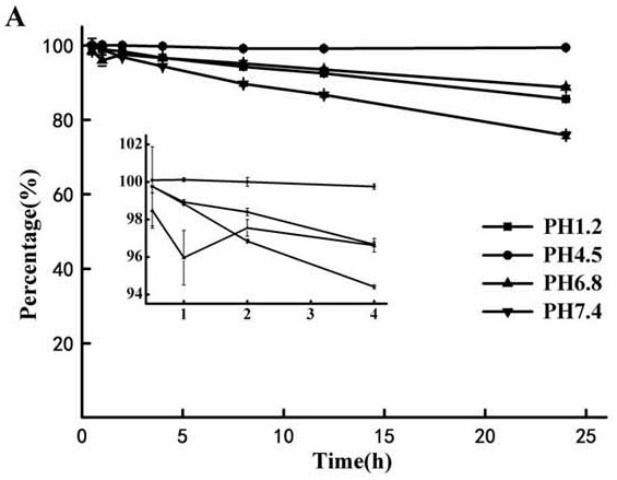 A class of maleimide-type prodrugs with bioadhesive effects and their application in oral drug delivery