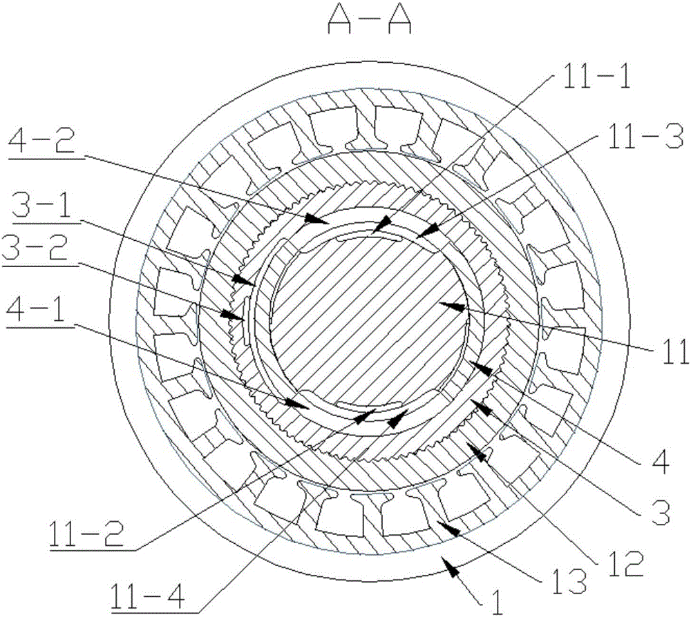 A ring plug electro-hydraulic pump