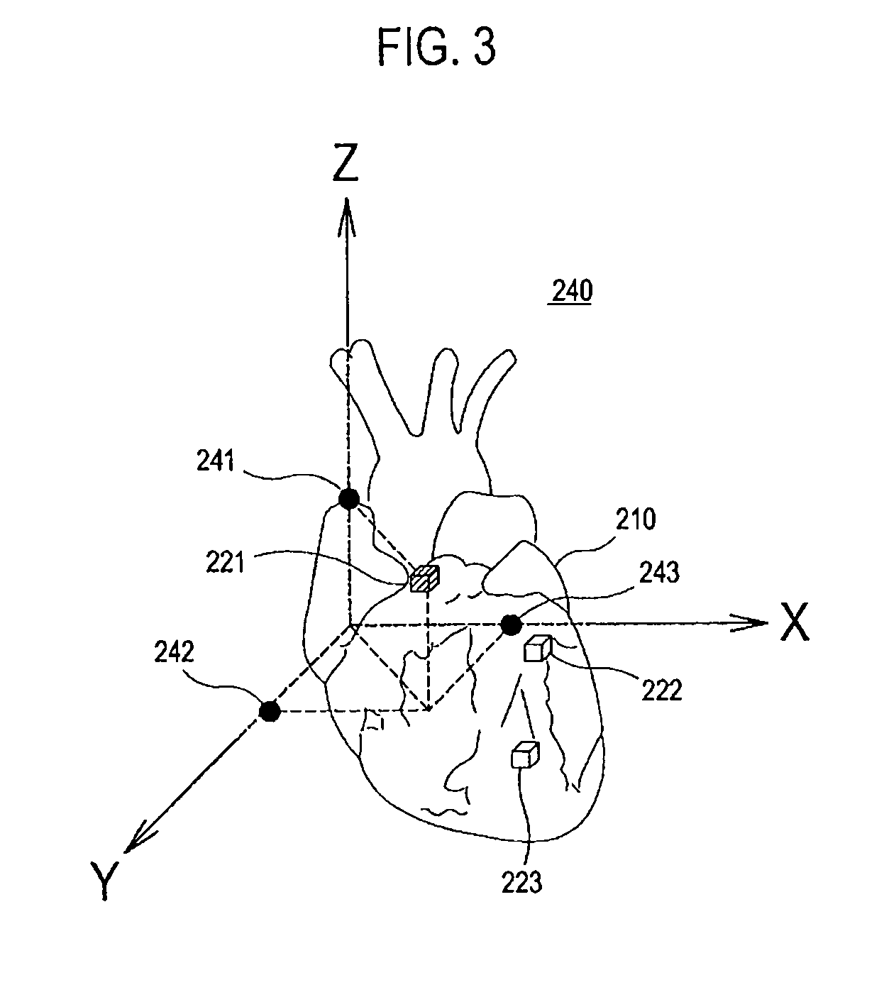 Ultrasound system and method of forming an ultrasound image