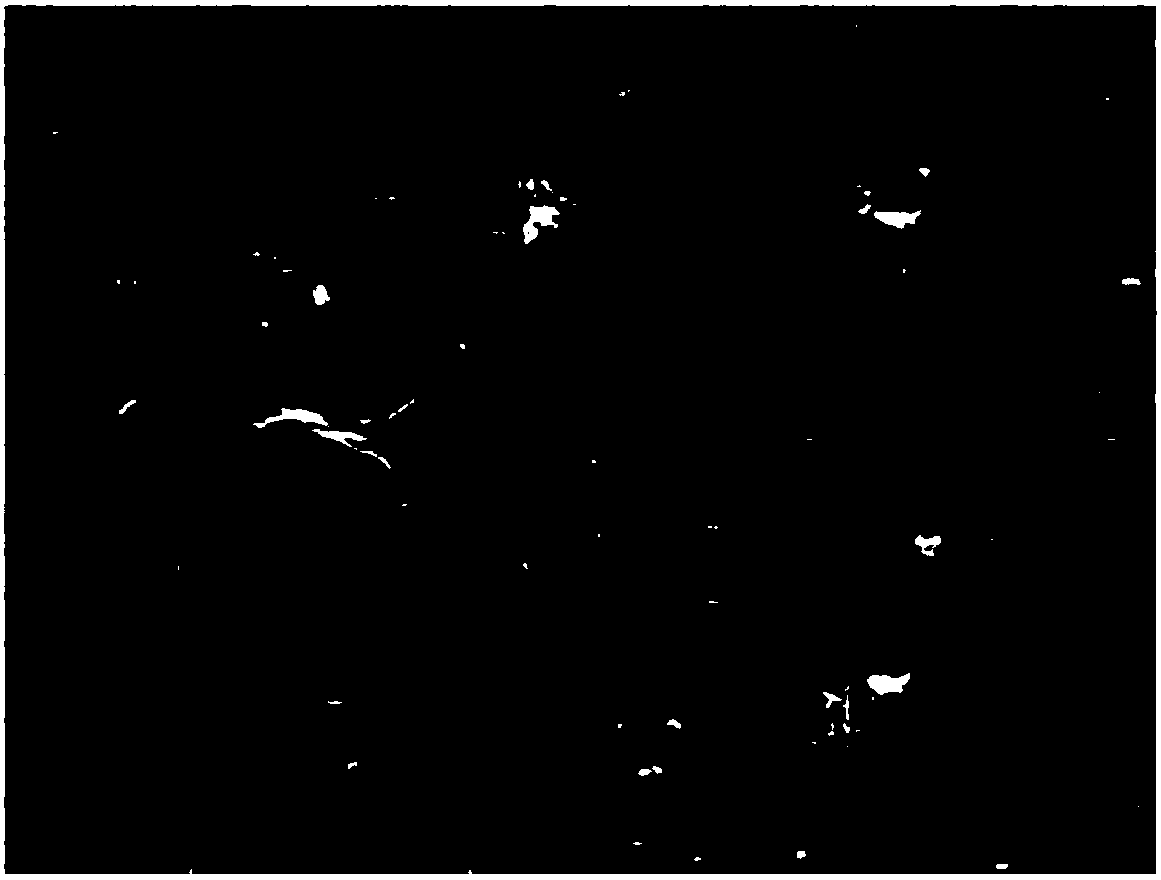 Composite tritium blocking coating and preparation method thereof