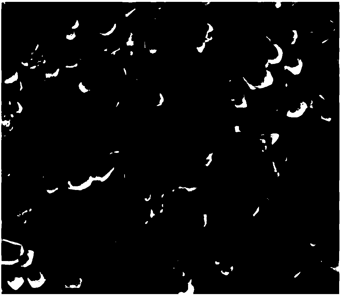 Composite tritium blocking coating and preparation method thereof