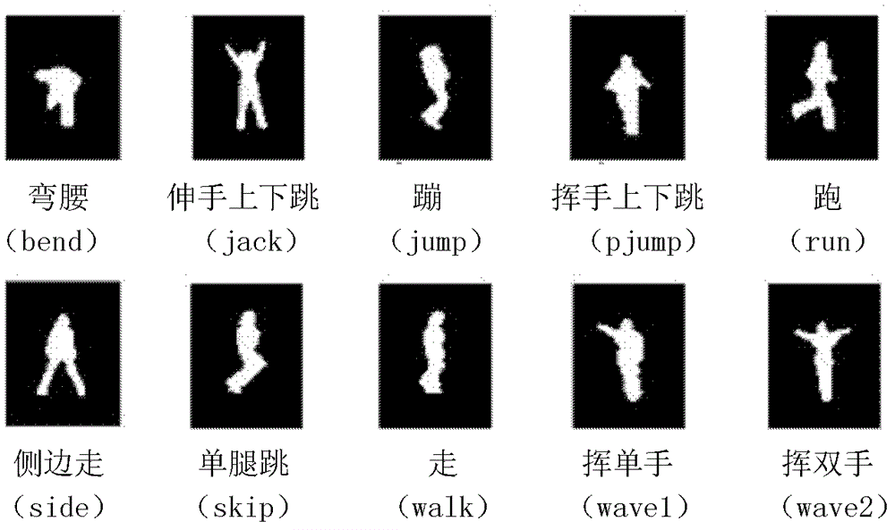 Behavior identification method for rank-1 tensor projection based on canonical return