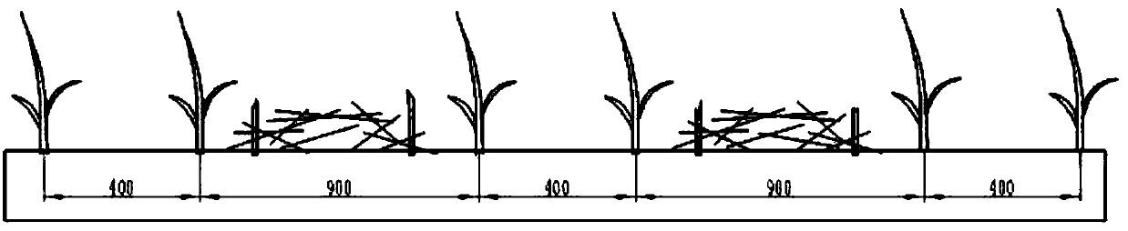 Conservation tillage method for total returning of maize straws in rows