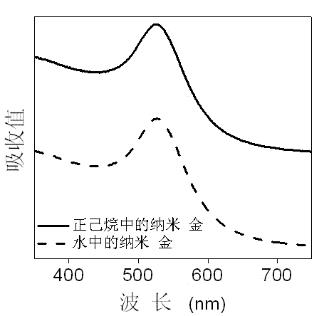 Preparation method of water-soluble nanoparticles