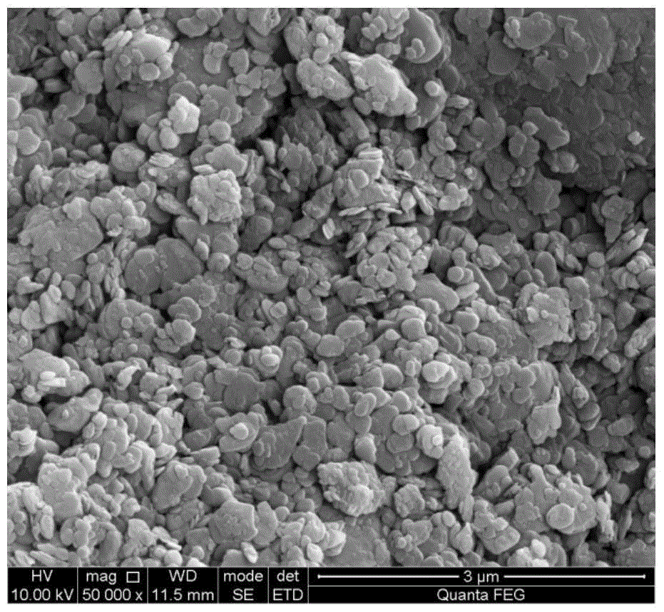 A kind of preparation method of boron nitride nanosheet/ferroferric oxide magnetic nanocomposite material