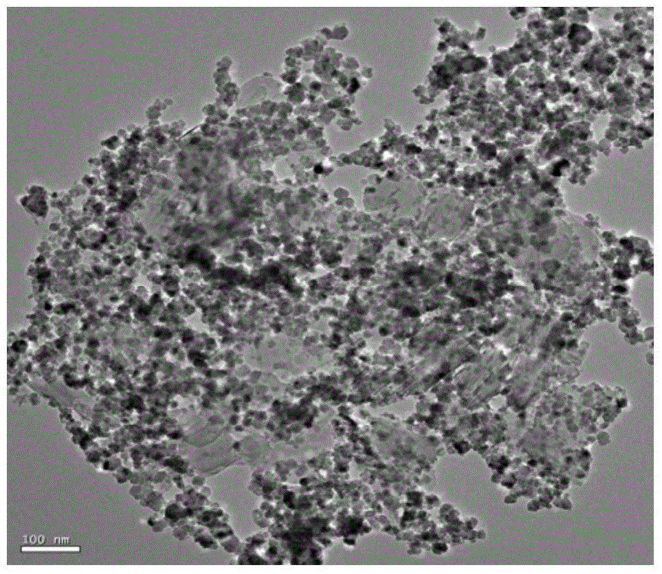 A kind of preparation method of boron nitride nanosheet/ferroferric oxide magnetic nanocomposite material
