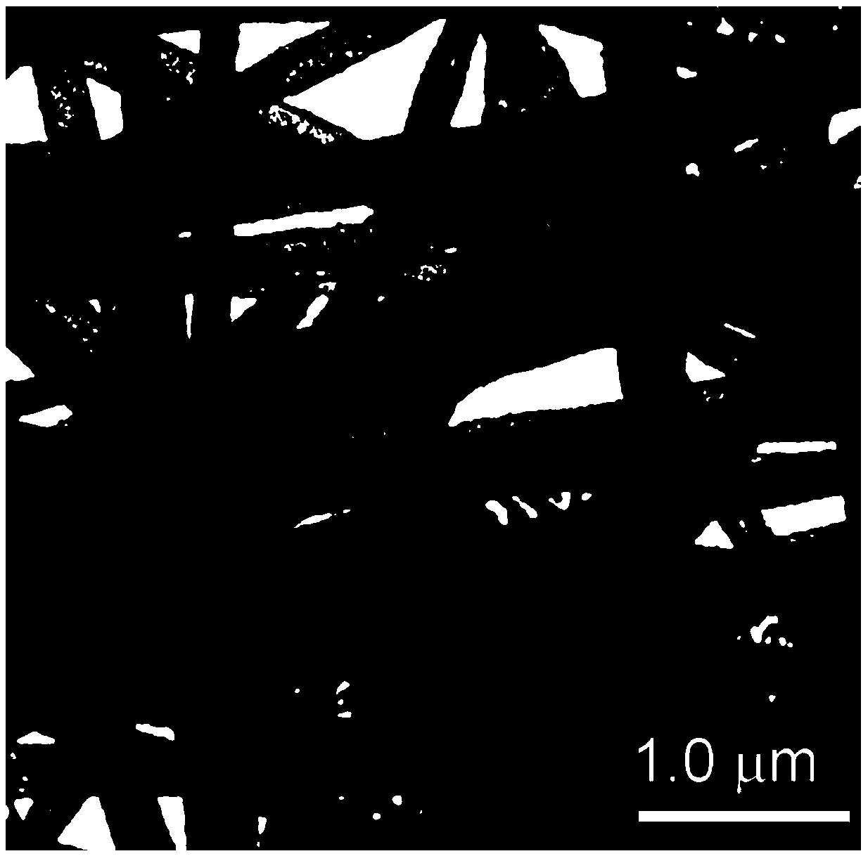 Hollow SnO2/Co3O4 hybrid nanotube as well as preparation method and application thereof