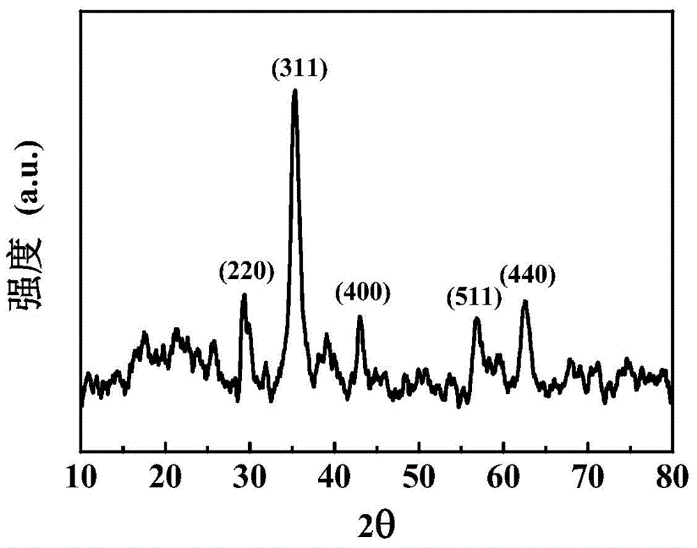 Method for preparing nanometer ferroferric oxide by taking waterworks sludge as raw material