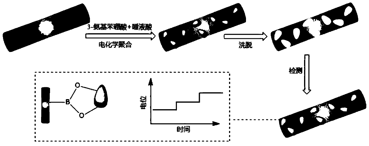 Potential-type sialic-acid sensor based on molecularly imprinted polymer-modified carbon cloth electrode