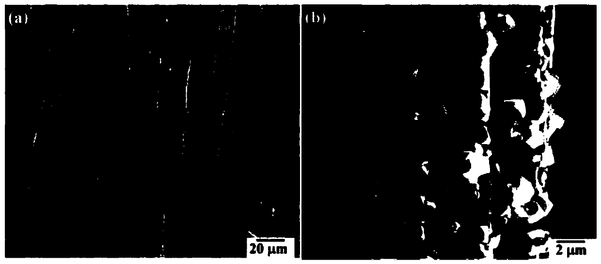 Potential-type sialic-acid sensor based on molecularly imprinted polymer-modified carbon cloth electrode