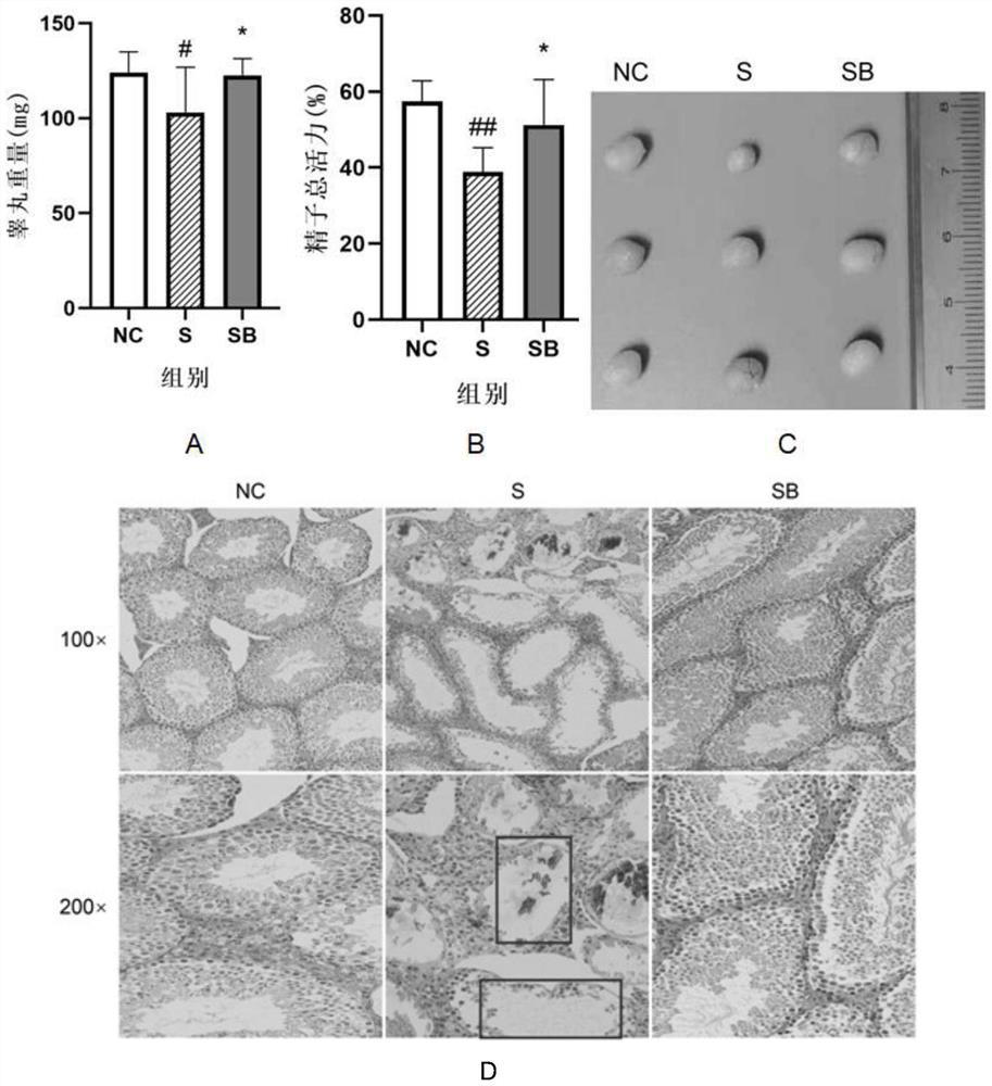 Application of fermented grains to preparation of product for relieving body damage caused by smoking