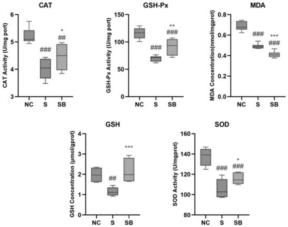 Application of fermented grains to preparation of product for relieving body damage caused by smoking