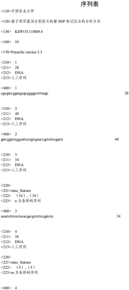 A pig SNP marker site analyzing method based on a sequence-based typing technique