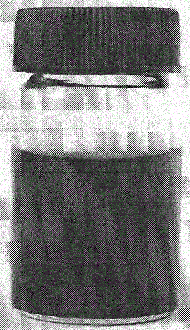 Method for preparing large-flake-diameter graphene oxide from natural flaky graphite