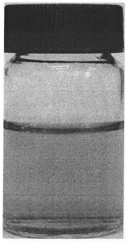 Method for preparing large-flake-diameter graphene oxide from natural flaky graphite