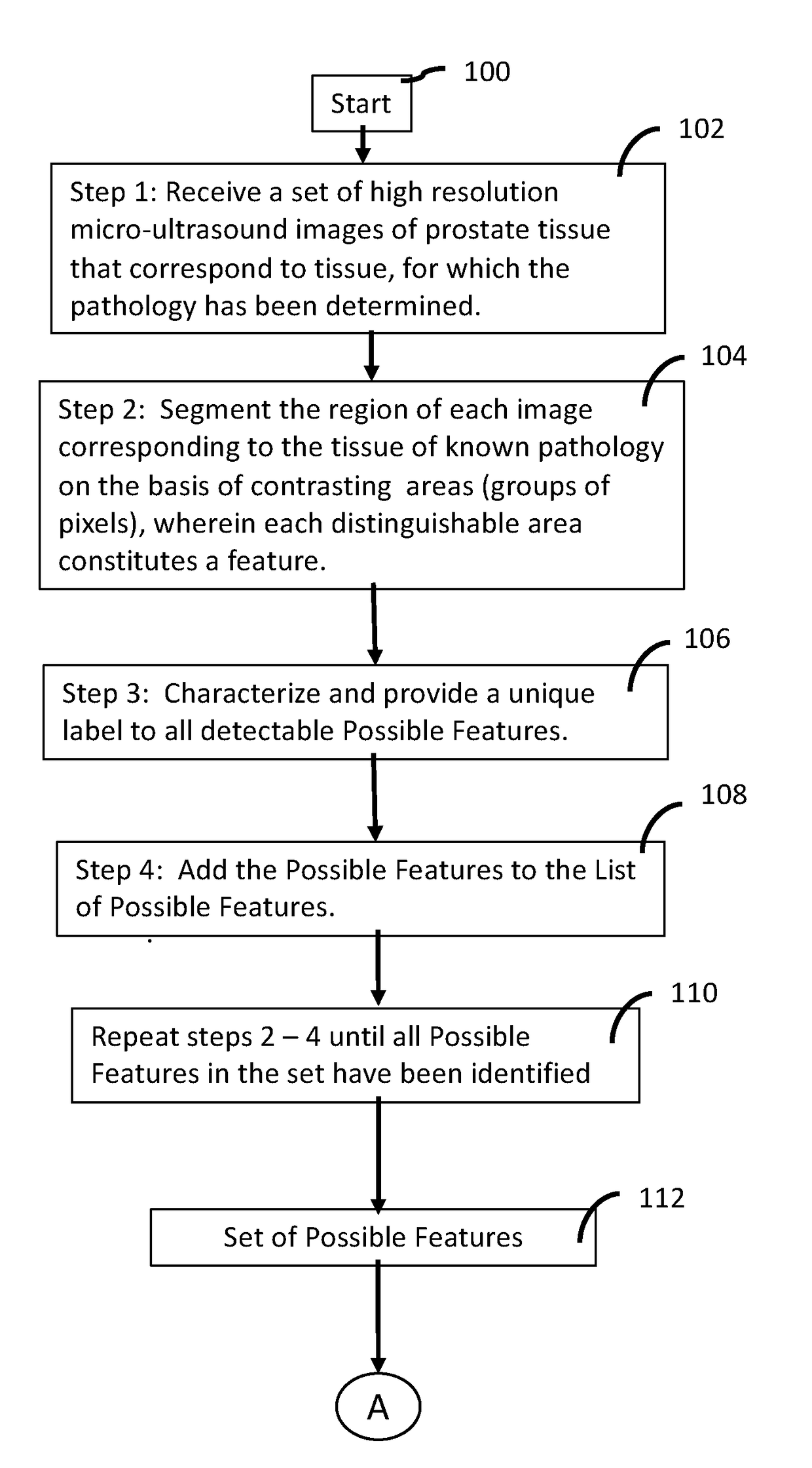 System comprising indicator features in high-resolution micro-ultrasound images