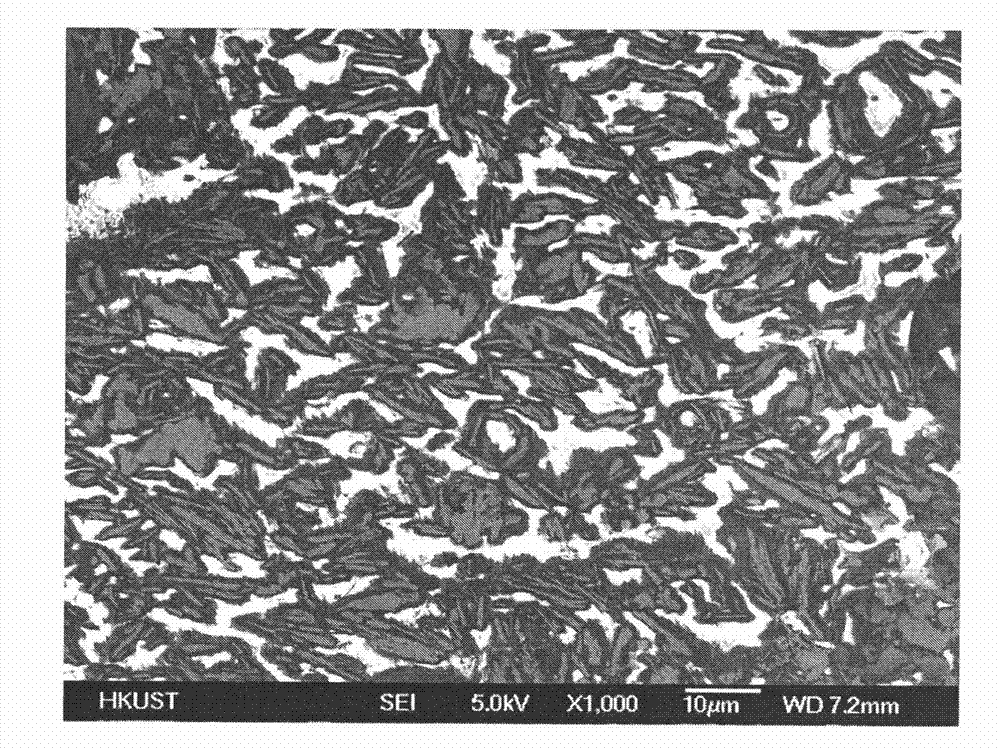 Percolation efficiency of the conductivity of electrically conductive adhesives