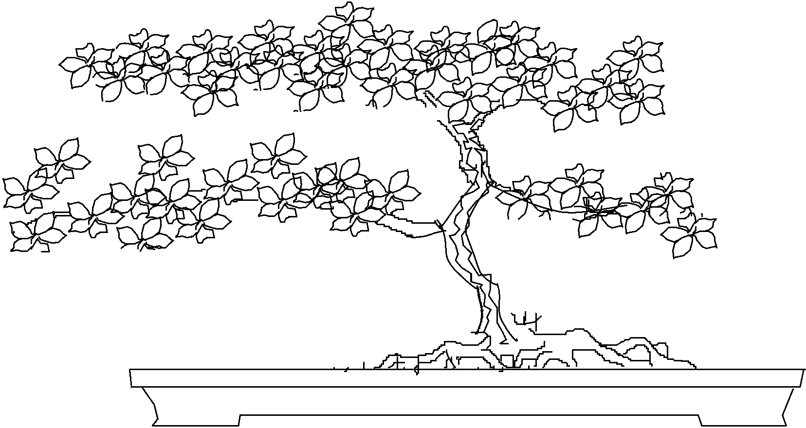 Cultivation method of bending trunk type dwarf crape myrtle