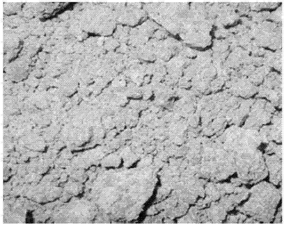 Preparation method of rape bee pollen long chain fatty acids and derivatives thereof