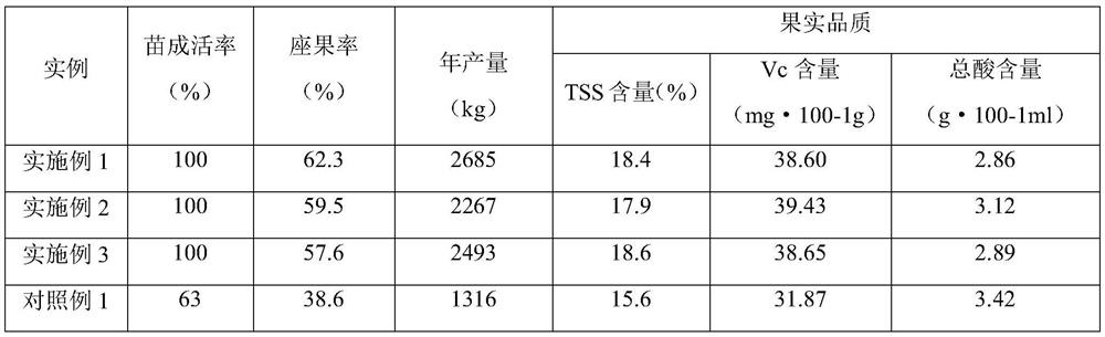 A high-yield cultivation method for dense planting of passion fruit overcoming obstacles of continuous cropping