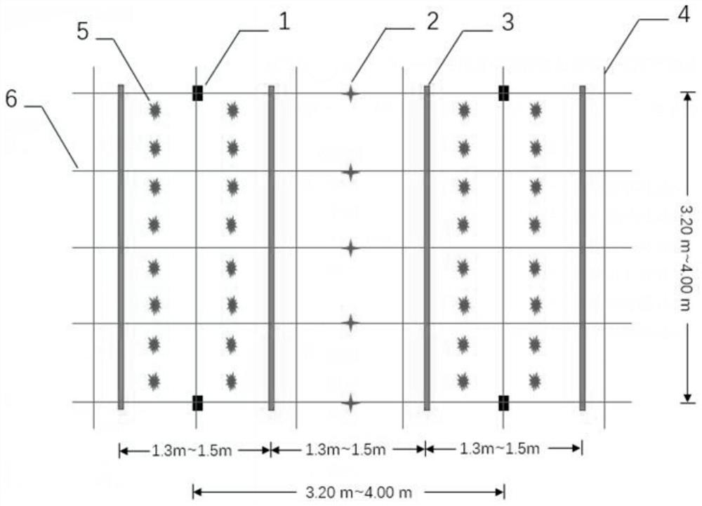 A high-yield cultivation method for dense planting of passion fruit overcoming obstacles of continuous cropping