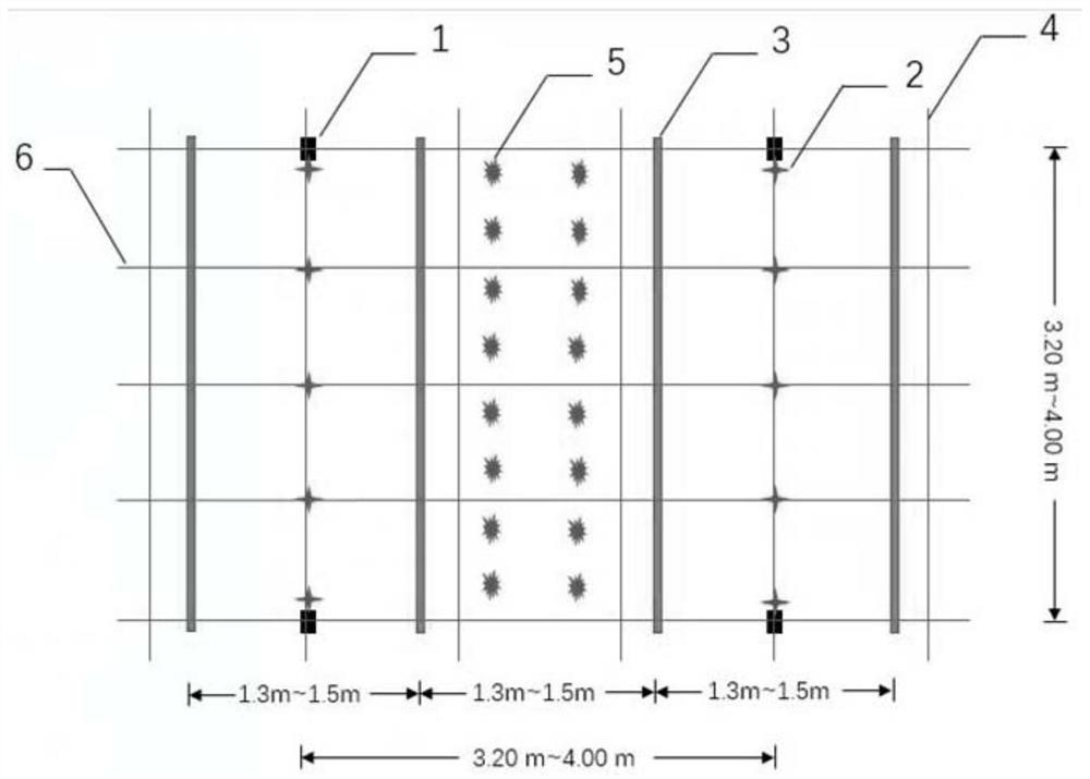 A high-yield cultivation method for dense planting of passion fruit overcoming obstacles of continuous cropping