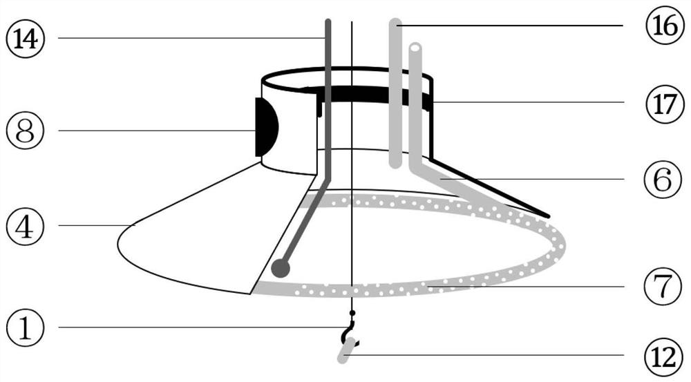 A zebrafish pain memory and addiction behavior experimental device and method