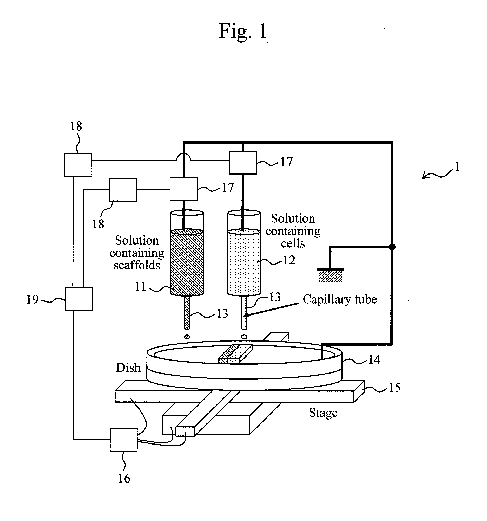 Production of cell tissue having three-dimensional structure using electrostatic ink jet phenomenon