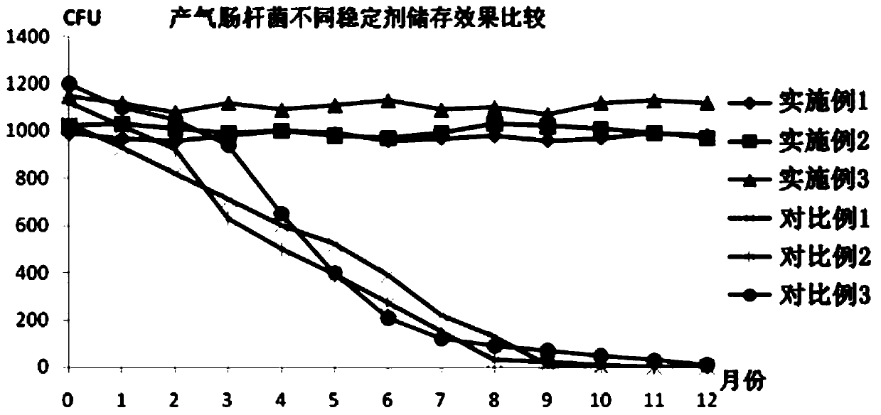 Stabilizer of enterobacter aerogenes and application thereof