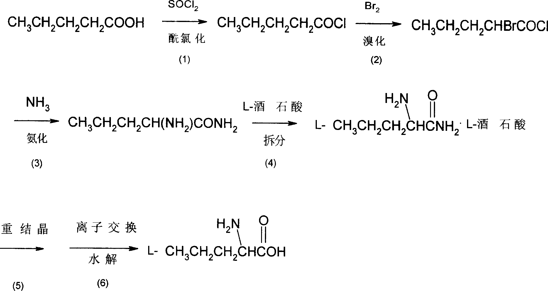 Method for synthesis of L-norvaline
