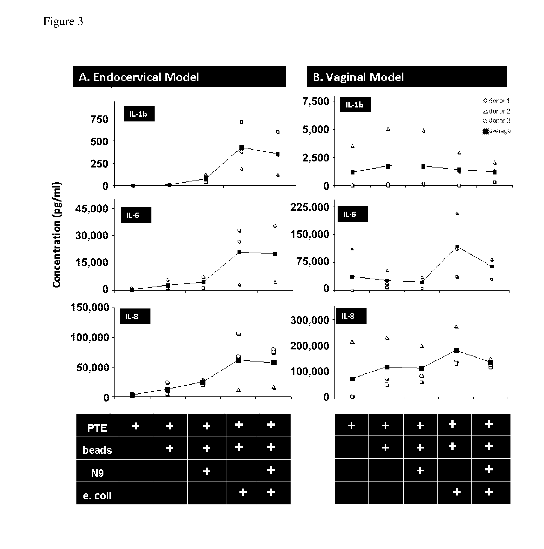 In vitro urogenital co-culture models