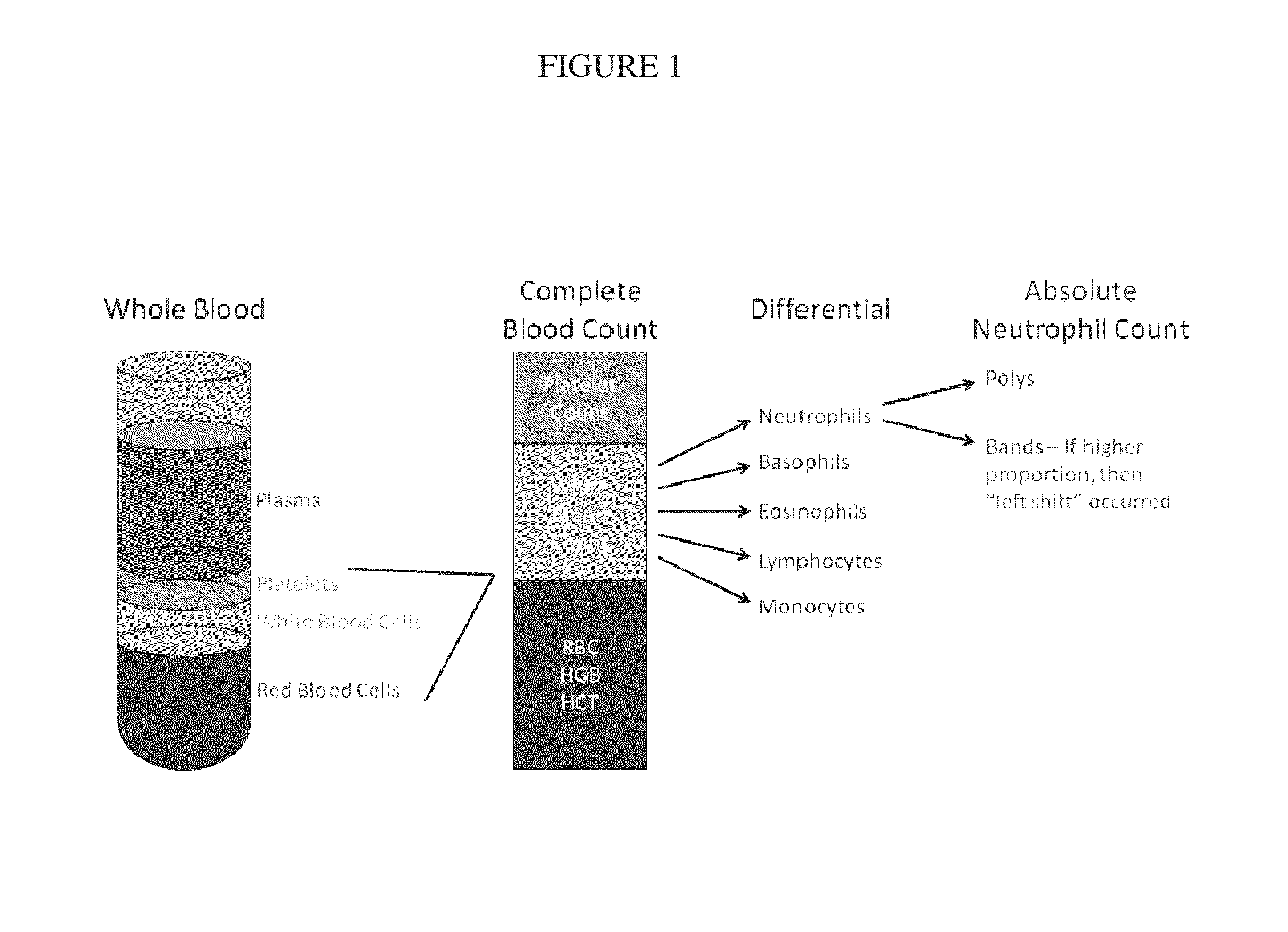 Compositions and methods for assessing appendicitis