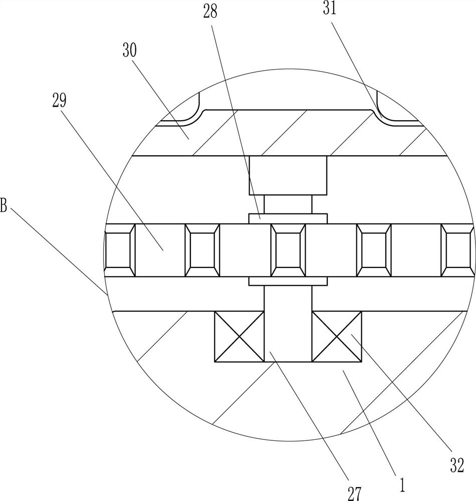 Cutting and canning device for canned yellow peach