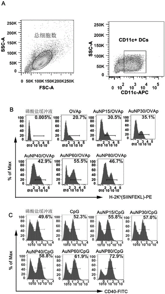Accelerator capable of improving functionalization process of adoptive DCs (Dendritic Cells), as well as preparation method and application of accelerator