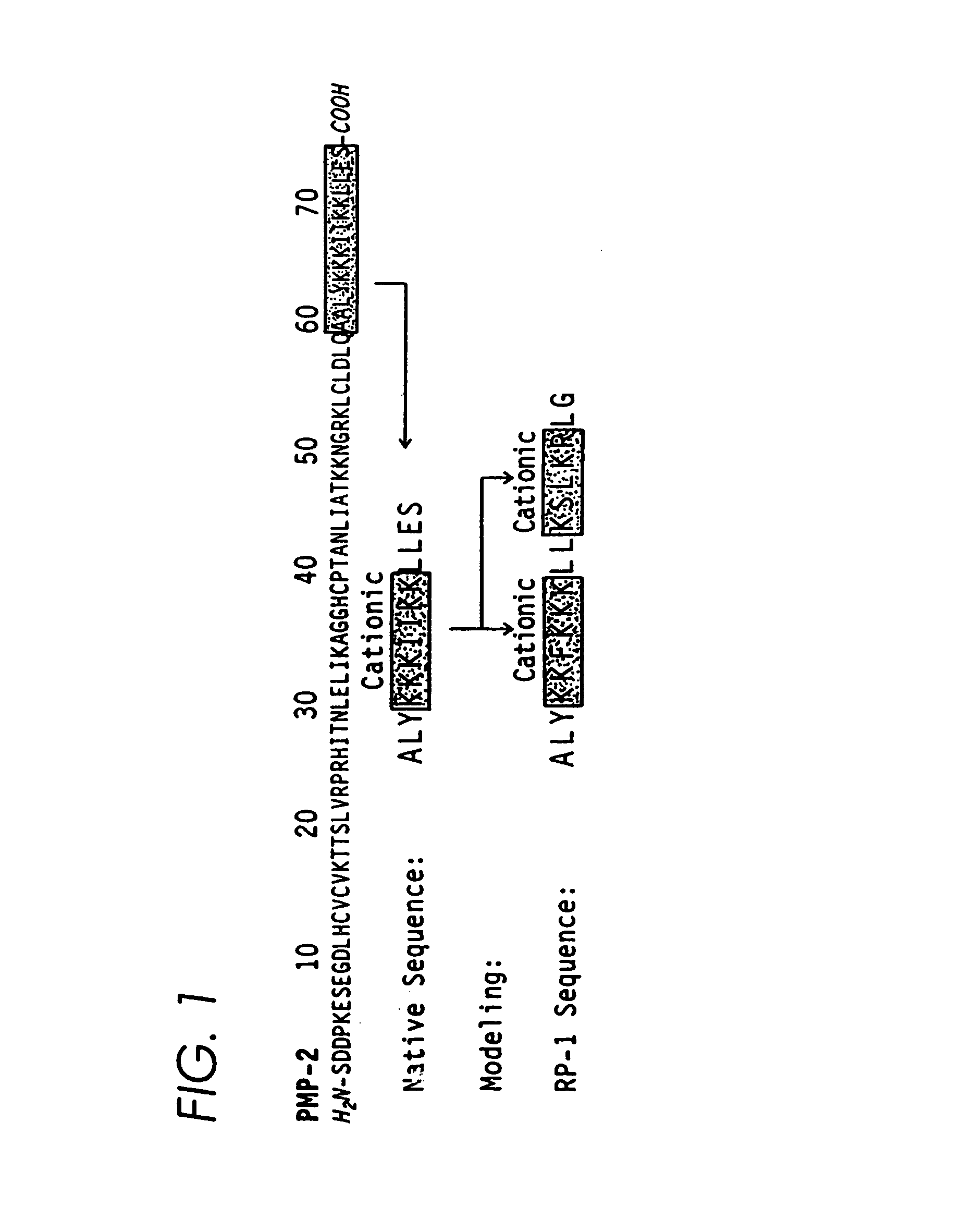 Antimicrobial peptides and derived metapeptides